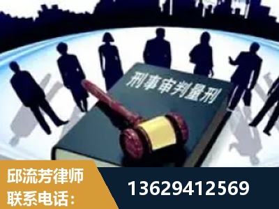 百色-诈骗类犯罪