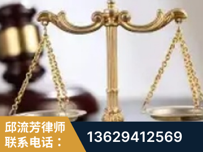 百色-委托诉讼代理人出庭